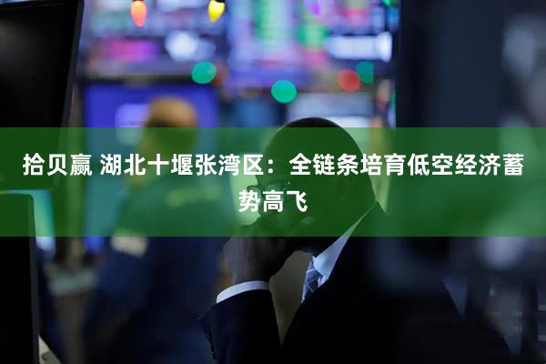 拾贝赢 湖北十堰张湾区：全链条培育低空经济蓄势高飞