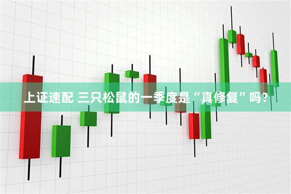 上证速配 三只松鼠的一季度是“真修复”吗？