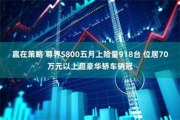 赢在策略 尊界S800五月上险量918台 位居70万元以上超豪华轿车销冠